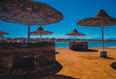 Umbrellas and sun loungers against the background of blue sky and red sea. Landscape of Egypt on vacation clipart