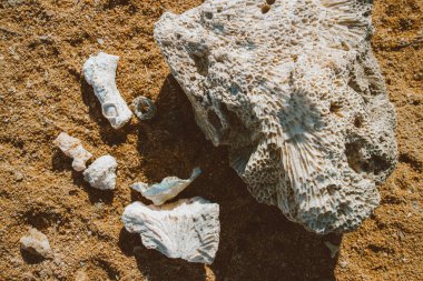 Kızıl Deniz kıyılarındaki kayalar ve mercanlar. Mısır 'ın tatil manzarası