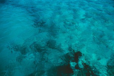 Deniz suyunda kayalar ve mercanlar. Mısır 'ın tatil manzarası