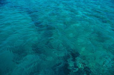 Deniz suyunda kayalar ve mercanlar. Mısır 'ın tatil manzarası