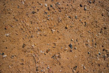 Kızıl Deniz kıyısındaki kumda taşlar ve ağıllar. Dokular ve arkaplanlar