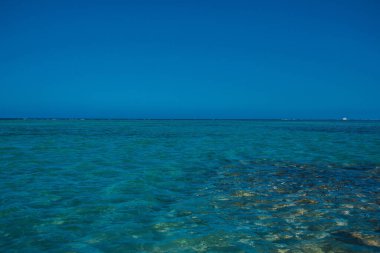 Deniz Burnu. Mısır 'da Kızıl Deniz