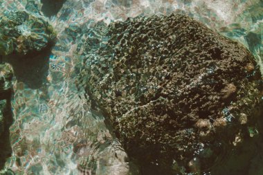 Deniz suyunda kayalar ve mercanlar. Mısır 'ın tatil manzarası