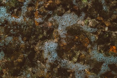 Deniz suyunda kayalar ve mercanlar. Mısır 'ın tatil manzarası