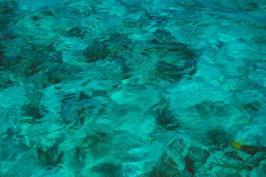 Deniz suyunda kayalar ve mercanlar. Mısır 'ın tatil manzarası