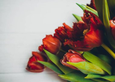 Beyaz ahşap arka planda kırmızı lale buketi.
