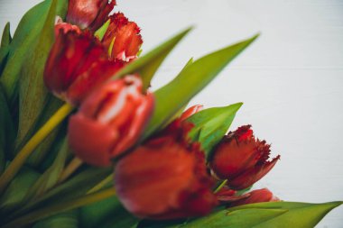 Beyaz ahşap arka planda kırmızı lale buketi.