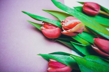 Beyaz ahşap arka planda kırmızı lale buketi.