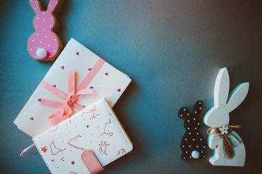 Puantiyeli tavşanlar, arka plandaki not defterleri.