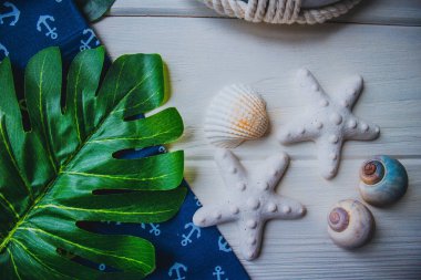 Yaşam şamandırası, denizyıldızı, denizatı, kabuklar, yeşil yapraklar ve ahşap beyaz arka planda kumaşa sabitlenmiş çapa. Yaz mevsimi