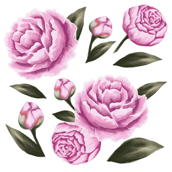 Gerçekçi şakayık unsurları ayarlandı. çiçek yaprakları ve tomurcuk