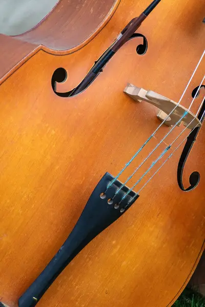 Close-up of the bridge and strings of the body of the kotrabas. Close-up photo of a classical musical instrument