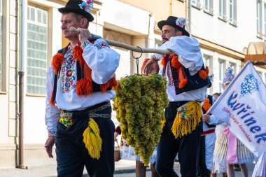 Uherske Hradiste, Çek Cumhuriyeti - 11 Eylül 2021 Uherske Hradiste 'de şarap festivali, şarap, halk dansları, gelenekler. Geleneksel Üzüm Hasadı Festivali Geçidi