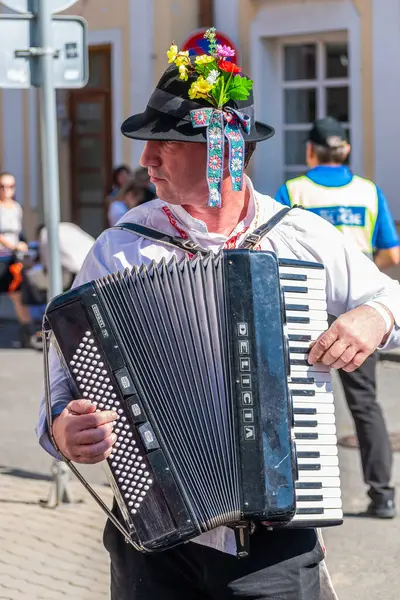 Uherske Hradiste, Çek Cumhuriyeti - 11 Eylül 2021 Uherske Hradiste 'de şarap festivali, şarap, halk dansları, gelenekler. Geleneksel Geleneksel Akordiyon Üniformalı Oyuncu
