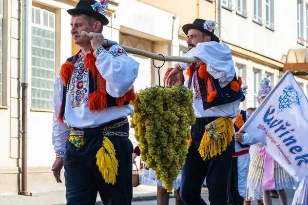 Uherske Hradiste, Çek Cumhuriyeti - 11 Eylül 2021 Uherske Hradiste 'de şarap festivali, şarap, halk dansları, gelenekler. Geleneksel Üzüm Hasadı Festivali Geçidi