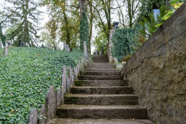 Grafik çalışması için kaliteli doku. Metinleriniz ya da reklamlarınız için tanıtım materyalleri ya da arka planlar oluşturmanın temelleri