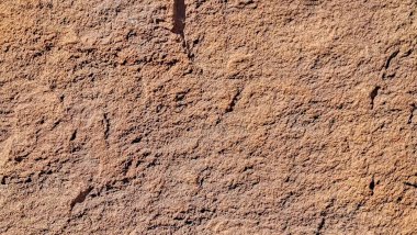 Kaba desenli kahverengi kaya yüzeyine yakın çekim