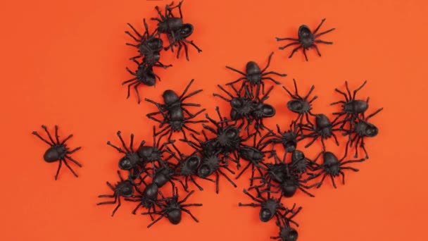 许多塑料蜘蛛在橙色的纸板上 一只手把他们推开了 棕色皮肤 — 图库视频影像