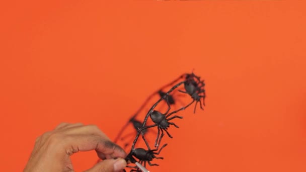 Φτιάχνω Μια Πλαστική Κορώνα Αράχνης Για Κεφάλι Αποκριάτικο Πάρτι Κοστούμια — Αρχείο Βίντεο