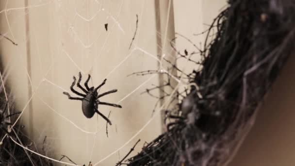 万圣节的装饰很恐怖用蜘蛛网和蜘蛛做成的干树枝做成的深色花环 — 图库视频影像