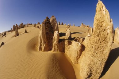 Pinnacles kireçtaşı oluşumları Nambung Milli Parkı içinde Cervantes, Batı Avustralya, yakınındaki vardır