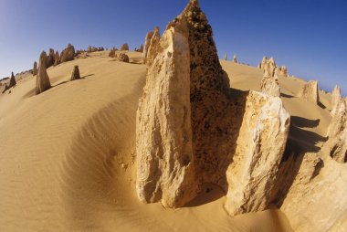 Pinnacles kireçtaşı oluşumları Nambung Milli Parkı içinde Cervantes, Batı Avustralya, yakınındaki vardır