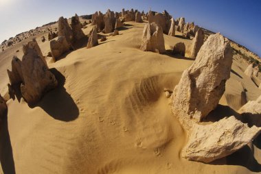 Pinnacles kireçtaşı oluşumları Nambung Milli Parkı içinde Cervantes, Batı Avustralya, yakınındaki vardır