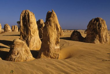 Pinnacles kireçtaşı oluşumları Nambung Milli Parkı içinde Cervantes, Batı Avustralya, yakınındaki vardır