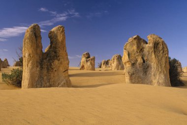 Pinnacles kireçtaşı oluşumları Nambung Milli Parkı içinde Cervantes, Batı Avustralya, yakınındaki vardır