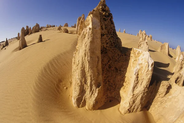 stock image The Pinnacles are limestone formations within Nambung National Park, near the town of Cervantes, Western Australia