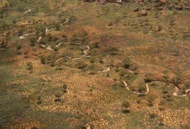 Bungle Bungle Range, Batı Avustralya 'nın Kimberley bölgesinde yer alan Purnululu Ulusal Parkı' nın ana özelliğidir.