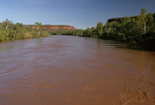 Rzeka Ord Jest Rzeką Długości 651 Kilometrów Rejonie Kimberley Australii — Zdjęcie stockowe