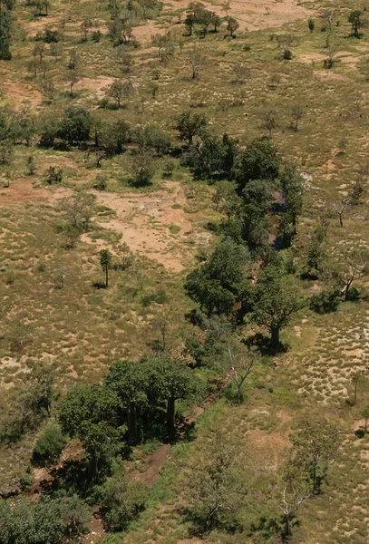 Bungle Bungle Range Viktig Landform Och Det Viktigaste Inslaget Purnulu — Stockfoto