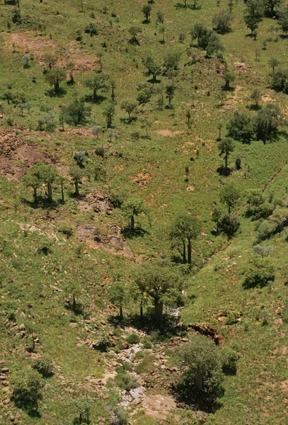 Bungle Bungle Range Viktig Landform Och Det Viktigaste Inslaget Purnulu — Stockfoto