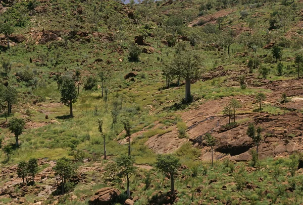 Bungelryggen Viktig Landform Hovedtrekket Purnululu Nasjonalpark Som Ligger Kimberley Regionen – stockfoto