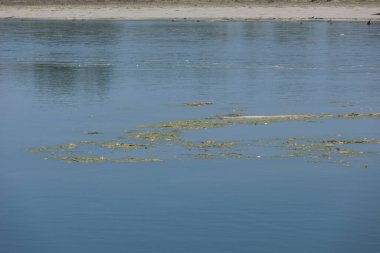Po, İtalyanca: Latince: Padus veya ridanus; Antik Liguryaca: Bodincus veya Bodencus İtalya 'nın en uzun nehridir. Kuzey İtalya 'dan doğuya doğru akar. Cottian Alplerinden başlar..