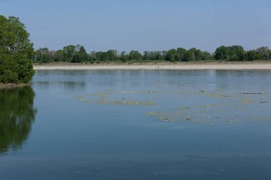Po, İtalyanca: Latince: Padus veya ridanus; Antik Liguryaca: Bodincus veya Bodencus İtalya 'nın en uzun nehridir. Kuzey İtalya 'dan doğuya doğru akar. Cottian Alplerinden başlar..