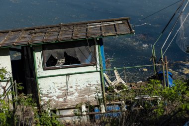 Po, İtalyanca: Latince: Padus veya ridanus; Antik Liguryaca: Bodincus veya Bodencus İtalya 'nın en uzun nehridir. Kuzey İtalya 'dan doğuya doğru akar. Cottian Alplerinden başlar..