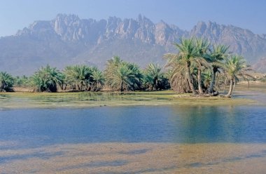 Hajar Dağları, Kuzey Umman ve Doğu Birleşik Arap Emirlikleri arasında paylaşılan Arap Yarımadası 'ndaki en yüksek sıradağlardan biridir..