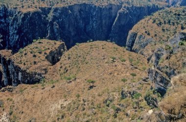 Diksam Platosu ya da Dixam Platosu, Yemen 'in Socotra şehrinde bulunan bir kireçtaşı platodur. Dirhur Kanyonu 'nun doğusunda yer alan Firmihin Ormanı, tüm adada Ejderha' nın Kan Ağaçları 'nın en yüksek yoğunluğuna sahiptir.