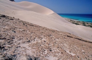 Büyük Arher Socotra, Hint Okyanusu 'nda Yemen Cumhuriyeti' ne bağlı bir adadır..