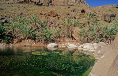 Wadi Desmo Socotra Adası, Hint Okyanusu 'nda Yemen Cumhuriyeti' ne bağlı bir adadır..