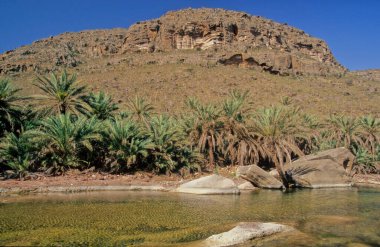 Wadi Desmo Socotra Adası, Hint Okyanusu 'nda Yemen Cumhuriyeti' ne bağlı bir adadır..