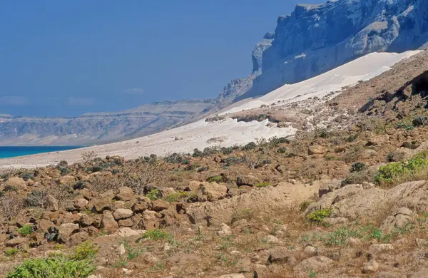 Büyük Arher Socotra, Hint Okyanusu 'nda Yemen Cumhuriyeti' ne bağlı bir adadır..