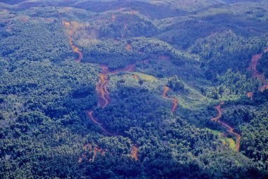 Kauai Hawaiian, Hawaii 'nin ana adaları arasında jeolojik olarak en eski ikinci adadır.