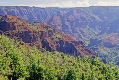 Waimea Kanyonu (ayrıca Büyük Pasifik Kanyonu olarak da bilinir), Amerika Birleşik Devletleri 'nin Hawaii Adaları' nda, Kauai 'nin batı tarafında yer alan, yaklaşık olarak 16 km uzunluğunda ve 3000 feet derinliğinde büyük bir kanyondur..