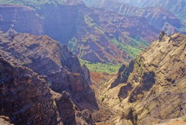 Waimea Kanyonu (ayrıca Büyük Pasifik Kanyonu olarak da bilinir), Amerika Birleşik Devletleri 'nin Hawaii Adaları' nda, Kauai 'nin batı tarafında yer alan, yaklaşık olarak 16 km uzunluğunda ve 3000 feet derinliğinde büyük bir kanyondur..