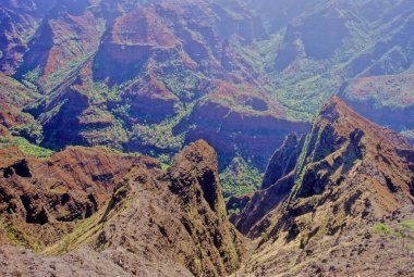 Waimea Kanyonu (ayrıca Büyük Pasifik Kanyonu olarak da bilinir), Amerika Birleşik Devletleri 'nin Hawaii Adaları' nda, Kauai 'nin batı tarafında yer alan, yaklaşık olarak 16 km uzunluğunda ve 3000 feet derinliğinde büyük bir kanyondur..