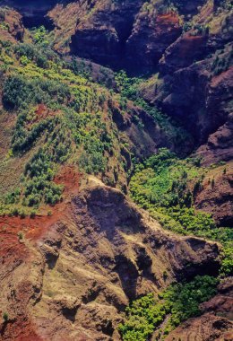 Waimea Kanyonu, Pasifik 'in Büyük Kanyonu olarak da bilinir, yaklaşık 10 mil uzunluğunda büyük bir kanyondur.