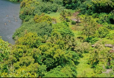 Wailua Nehri Eyalet Parkı ve Heiaus 'un Wailua Kompleksi Hawaii' nin Kauai adasının doğu tarafında yer almaktadır..